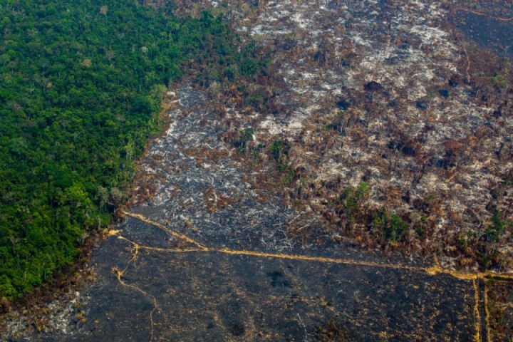 Changement climatique: selon une étude, l'Amazonie pourrait disparaître en 50 ans